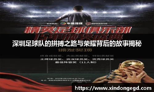 深圳足球队的拼搏之路与荣耀背后的故事揭秘