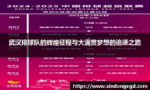 武汉排球队的辉煌征程与大满贯梦想的追逐之路