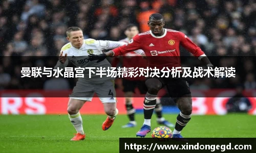曼联与水晶宫下半场精彩对决分析及战术解读